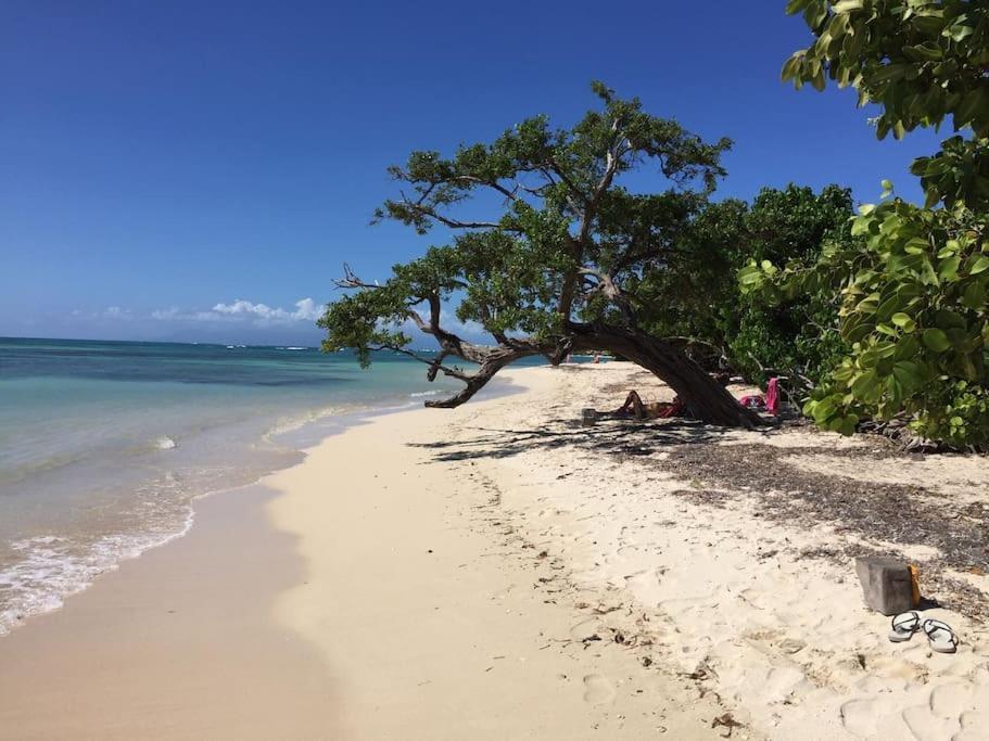 Villa Petite Terre A 50 Metres De La Plage Saint-Francois  Eksteriør bilde