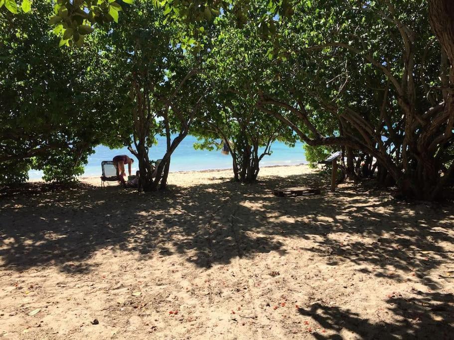 Villa Petite Terre A 50 Metres De La Plage Saint-Francois  Eksteriør bilde
